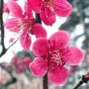 ヒメ日記 2025/02/26 08:03 投稿 すみれ 北九州人妻倶楽部（三十路、四十路、五十路）