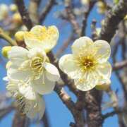 ヒメ日記 2025/02/28 18:18 投稿 すみれ 北九州人妻倶楽部（三十路、四十路、五十路）