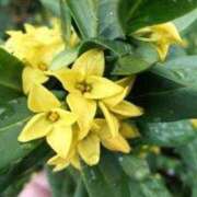 ヒメ日記 2025/03/03 22:03 投稿 すみれ 北九州人妻倶楽部（三十路、四十路、五十路）