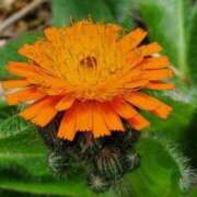 ヒメ日記 2025/03/07 12:12 投稿 すみれ 北九州人妻倶楽部（三十路、四十路、五十路）