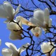 ヒメ日記 2025/03/16 20:18 投稿 すみれ 北九州人妻倶楽部（三十路、四十路、五十路）