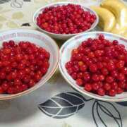 ヒメ日記 2025/05/05 14:18 投稿 すみれ 北九州人妻倶楽部（三十路、四十路、五十路）