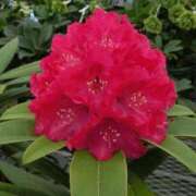 ヒメ日記 2025/05/09 17:03 投稿 すみれ 北九州人妻倶楽部（三十路、四十路、五十路）