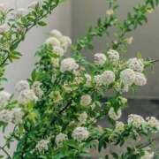 ヒメ日記 2025/05/10 13:18 投稿 すみれ 北九州人妻倶楽部（三十路、四十路、五十路）