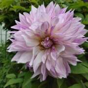 ヒメ日記 2025/06/21 16:21 投稿 すみれ 北九州人妻倶楽部（三十路、四十路、五十路）