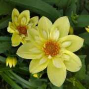 ヒメ日記 2025/06/22 10:21 投稿 すみれ 北九州人妻倶楽部（三十路、四十路、五十路）