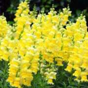 ヒメ日記 2025/06/28 14:51 投稿 すみれ 北九州人妻倶楽部（三十路、四十路、五十路）