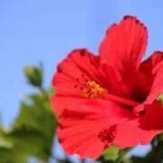 ヒメ日記 2025/07/05 16:51 投稿 すみれ 北九州人妻倶楽部（三十路、四十路、五十路）