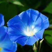 ヒメ日記 2025/08/27 12:54 投稿 すみれ 北九州人妻倶楽部（三十路、四十路、五十路）