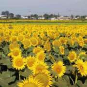 ヒメ日記 2025/09/03 13:06 投稿 すみれ 北九州人妻倶楽部（三十路、四十路、五十路）