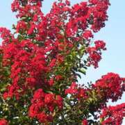 ヒメ日記 2025/09/06 16:03 投稿 すみれ 北九州人妻倶楽部（三十路、四十路、五十路）