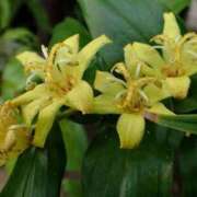 ヒメ日記 2025/09/11 09:27 投稿 すみれ 北九州人妻倶楽部（三十路、四十路、五十路）