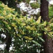 ヒメ日記 2025/09/24 12:30 投稿 すみれ 北九州人妻倶楽部（三十路、四十路、五十路）