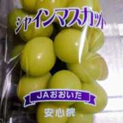 ヒメ日記 2025/09/24 19:00 投稿 すみれ 北九州人妻倶楽部（三十路、四十路、五十路）