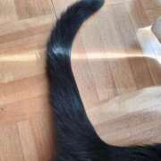 ヒメ日記 2025/09/25 09:21 投稿 すみれ 北九州人妻倶楽部（三十路、四十路、五十路）