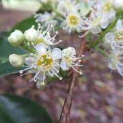 ヒメ日記 2025/09/26 12:30 投稿 すみれ 北九州人妻倶楽部（三十路、四十路、五十路）