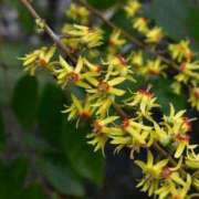 ヒメ日記 2025/09/27 23:42 投稿 すみれ 北九州人妻倶楽部（三十路、四十路、五十路）