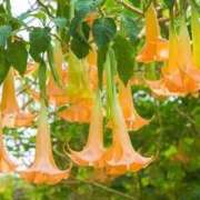 ヒメ日記 2025/10/01 09:51 投稿 すみれ 北九州人妻倶楽部（三十路、四十路、五十路）