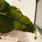 ヒメ日記 2025/10/02 11:42 投稿 すみれ 北九州人妻倶楽部（三十路、四十路、五十路）