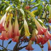 ヒメ日記 2025/10/05 18:15 投稿 すみれ 北九州人妻倶楽部（三十路、四十路、五十路）