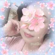 ヒメ日記 2026/04/05 19:24 投稿 柏木舞子 ミセスラウンジ東京