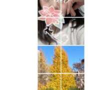 ヒメ日記 2024/12/12 16:33 投稿 みほ 肉体の門