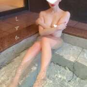 ヒメ日記 2025/04/04 11:36 投稿 白石しずか ミセスハンズ