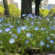 ヒメ日記 2025/05/04 21:48 投稿 ともか ナイスレディ