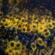 ヒメ日記 2025/06/18 21:04 投稿 ともか ナイスレディ