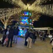 ヒメ日記 2025/12/01 09:48 投稿 ともか ナイスレディ