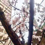 ヒメ日記 2025/03/06 12:06 投稿 みお Vitamin〜ビタミン〜