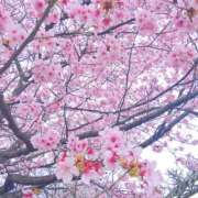 ヒメ日記 2025/04/23 21:06 投稿 みお Vitamin〜ビタミン〜