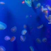 ヒメ日記 2025/06/11 11:53 投稿 みお Vitamin〜ビタミン〜