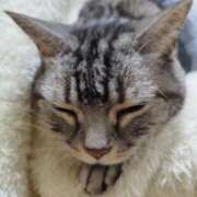 ヒメ日記 2025/05/06 16:38 投稿 あやな デザインプリズム新宿