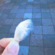 あやな 今夜何しようか？ デザインプリズム新宿