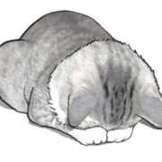 ヒメ日記 2025/09/21 09:24 投稿 紗絵 PLUS難波店