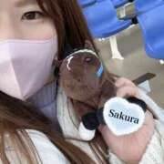 ヒメ日記 2025/02/10 00:19 投稿 朝長 さくら ハレ系 福岡DEまっとる。