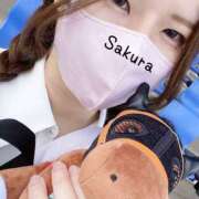 ヒメ日記 2025/04/13 22:18 投稿 朝長 さくら ハレ系 福岡DEまっとる。