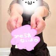 ヒメ日記 2025/09/15 19:55 投稿 朝長 さくら ハレ系 福岡DEまっとる。