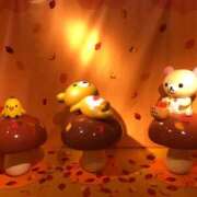 ヒメ日記 2025/11/19 12:23 投稿 朝長 さくら ハレ系 福岡DEまっとる。