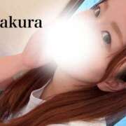 ヒメ日記 2025/12/14 20:16 投稿 朝長 さくら ハレ系 福岡DEまっとる。