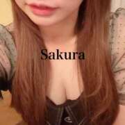 ヒメ日記 2026/02/28 19:51 投稿 朝長 さくら ハレ系 福岡DEまっとる。＆ひよこ治療院