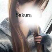 ヒメ日記 2026/03/25 23:20 投稿 朝長 さくら ハレ系 福岡DEまっとる。＆ひよこ治療院