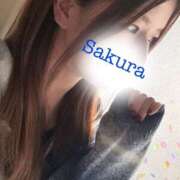 ヒメ日記 2026/03/30 20:31 投稿 朝長 さくら ハレ系 福岡DEまっとる。＆ひよこ治療院