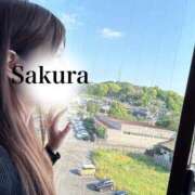 ヒメ日記 2026/05/15 20:06 投稿 朝長 さくら ハレ系 福岡DEまっとる。＆ひよこ治療院