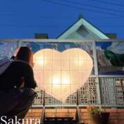 ヒメ日記 2026/05/15 20:18 投稿 朝長 さくら ハレ系 福岡DEまっとる。＆ひよこ治療院