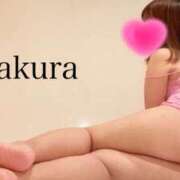 ヒメ日記 2026/06/17 23:41 投稿 朝長 さくら ハレ系 福岡DEまっとる。＆ひよこ治療院