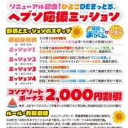 ヒメ日記 2026/06/29 12:28 投稿 朝長 さくら ハレ系 福岡DEまっとる。＆ひよこ治療院