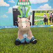 ヒメ日記 2026/07/14 21:01 投稿 朝長 さくら ハレ系 福岡DEまっとる。＆ひよこ治療院