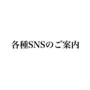 ヒメ日記 2026/08/18 08:30 投稿 朝長 さくら ハレ系 福岡DEまっとる。＆ひよこ治療院